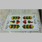 p1010375 [800x600].jpg